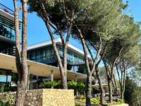 Sophia Antipolis office